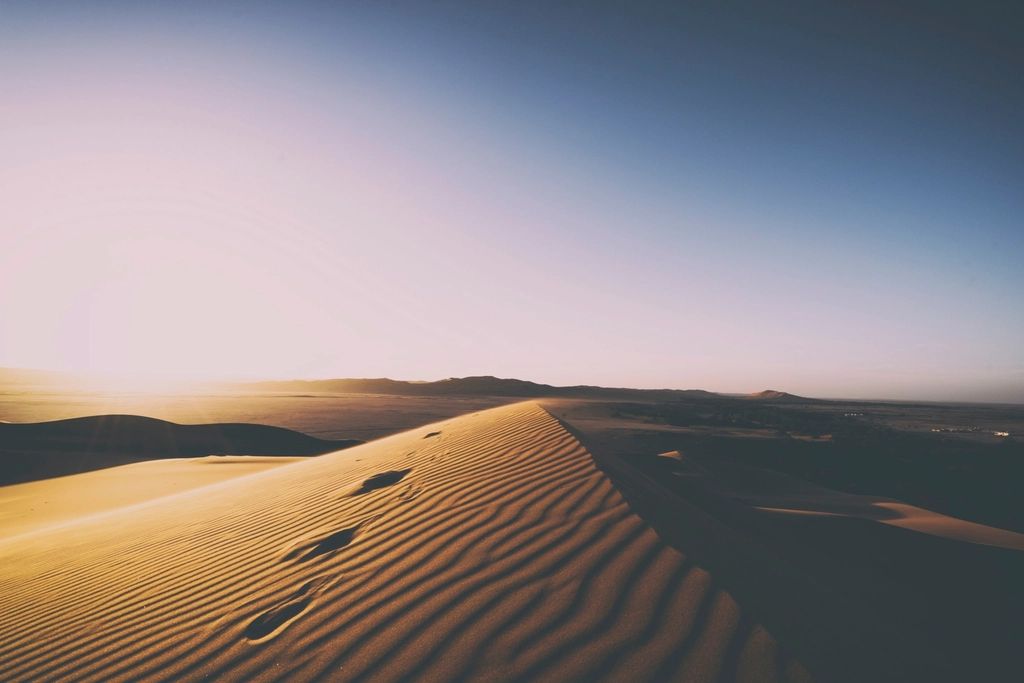 Footprints across a desert dune at dawn